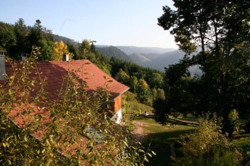 Appartement Dans Vielle Ferme Au Coeur Des Vosges بلاينفاينغ المظهر الخارجي الصورة