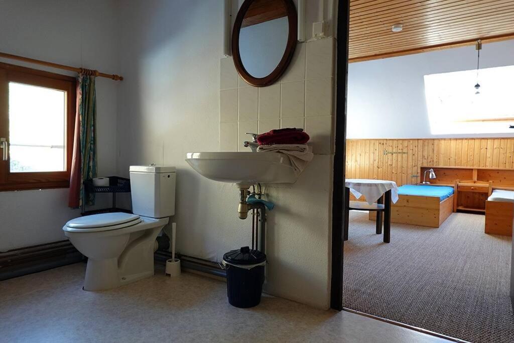 Appartement Dans Vielle Ferme Au Coeur Des Vosges بلاينفاينغ المظهر الخارجي الصورة