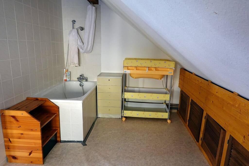 Appartement Dans Vielle Ferme Au Coeur Des Vosges بلاينفاينغ المظهر الخارجي الصورة