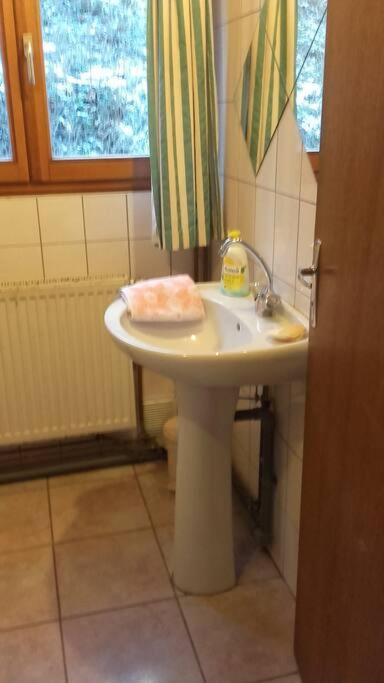 Appartement Dans Vielle Ferme Au Coeur Des Vosges بلاينفاينغ المظهر الخارجي الصورة