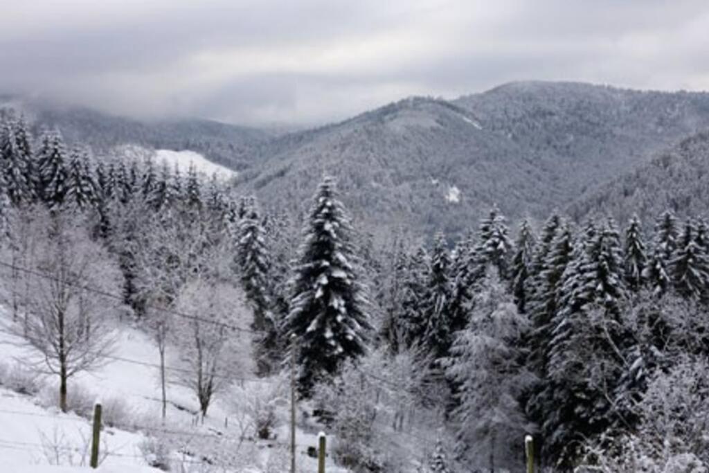 Appartement Dans Vielle Ferme Au Coeur Des Vosges بلاينفاينغ المظهر الخارجي الصورة