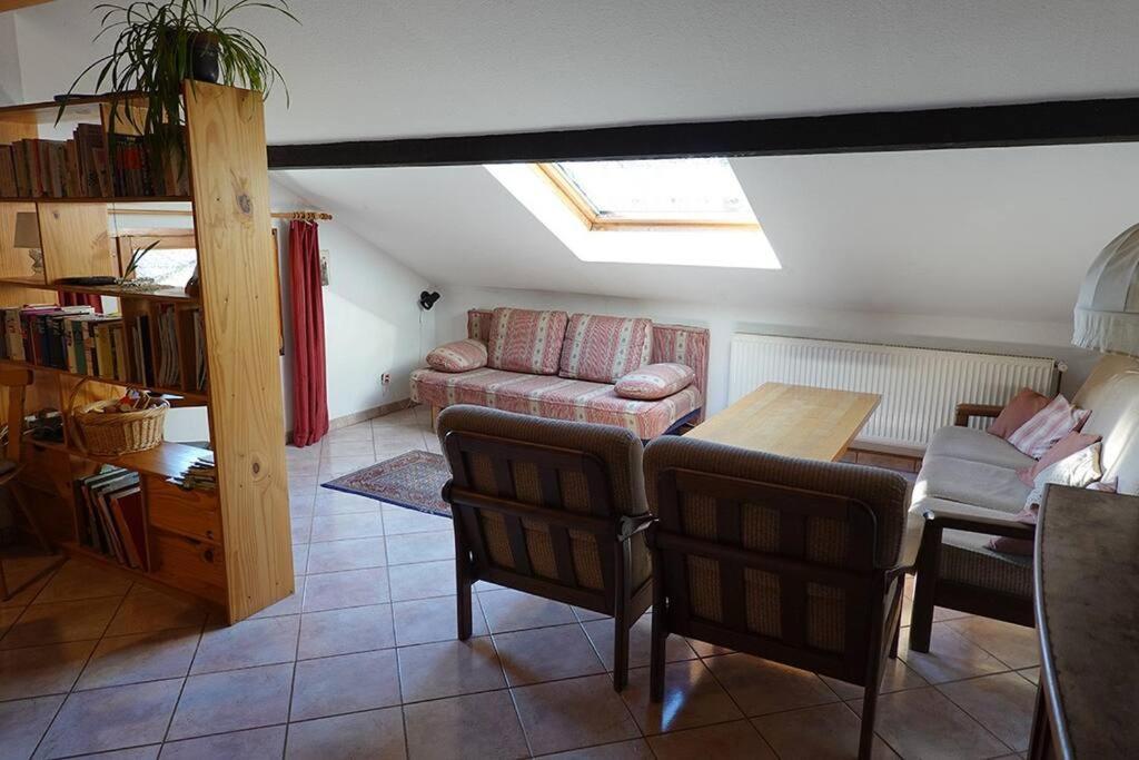 Appartement Dans Vielle Ferme Au Coeur Des Vosges بلاينفاينغ المظهر الخارجي الصورة