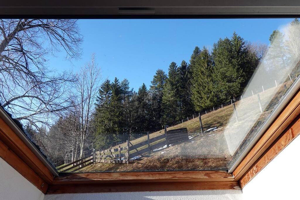 Appartement Dans Vielle Ferme Au Coeur Des Vosges بلاينفاينغ المظهر الخارجي الصورة