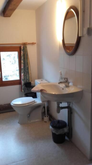 Appartement Dans Vielle Ferme Au Coeur Des Vosges بلاينفاينغ المظهر الخارجي الصورة