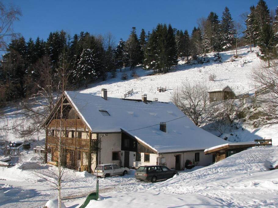 Appartement Dans Vielle Ferme Au Coeur Des Vosges بلاينفاينغ المظهر الخارجي الصورة