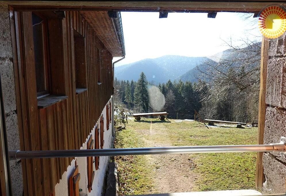 Appartement Dans Vielle Ferme Au Coeur Des Vosges بلاينفاينغ المظهر الخارجي الصورة